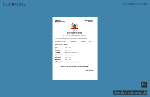 Surinamische Geburtsurkunde (Word- und PDF-Beispiel)